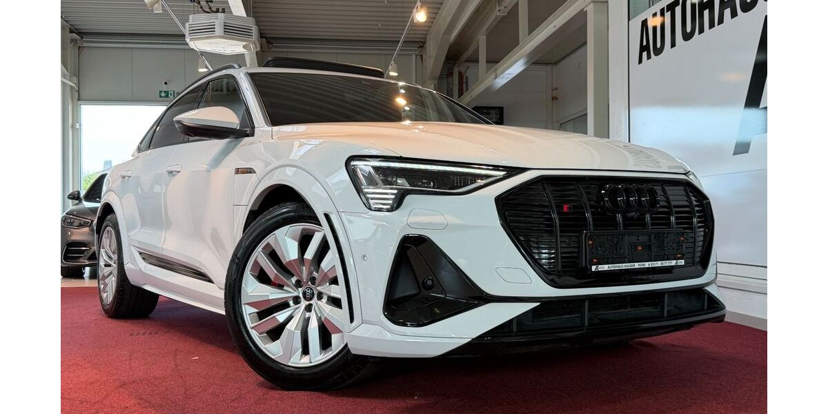 Audi e-tron 39.987 km 40.999 &euro; Peine 31228