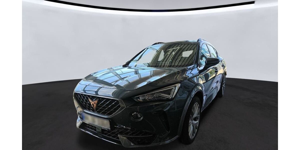 Cupra Formentor 56.100 km 25.890 &euro; Braunschweig 38114