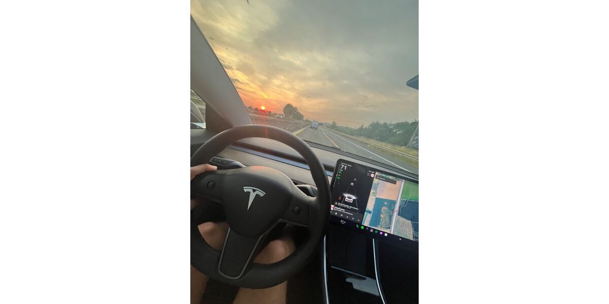 Tesla Model 3 186.000 km 22.000 &euro; Braunschweig 38126