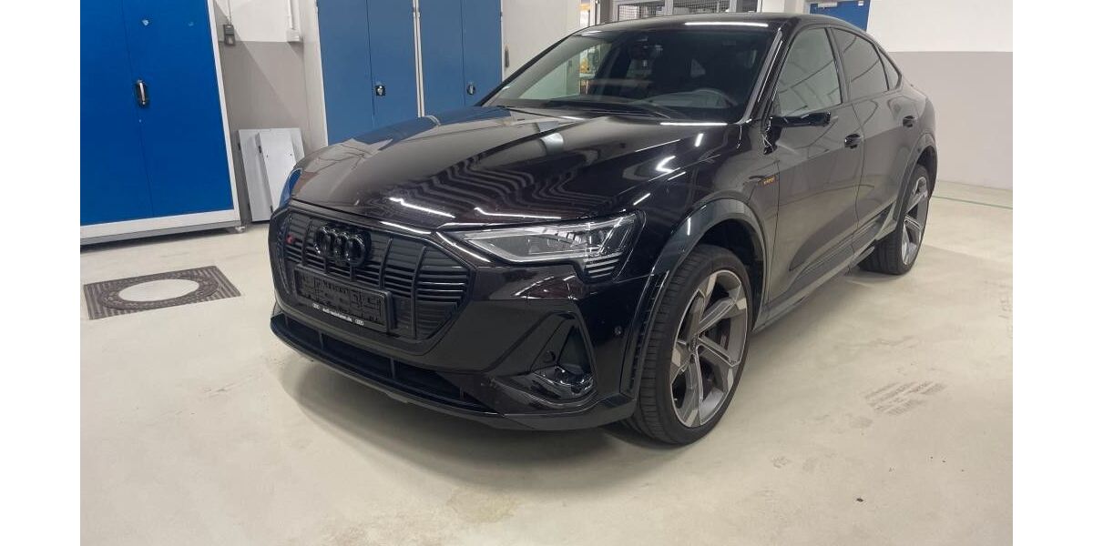 Audi e-tron 31.200 km 47.999 &euro; Salzgitter 38259